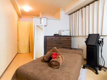 Palace of the Dragon～龍宮城～